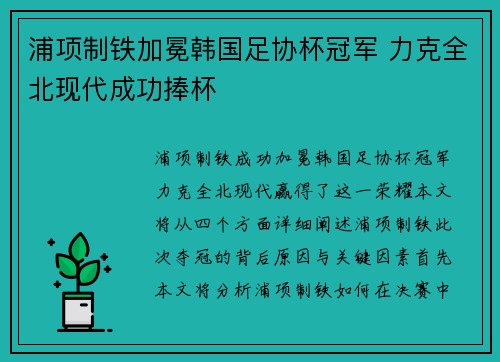 浦项制铁加冕韩国足协杯冠军 力克全北现代成功捧杯