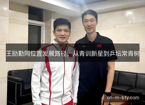 王励勤同位置发展路径，从青训新星到乒坛常青树